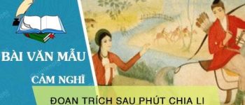 Cảm nghĩ về đoạn trích Sau phút chia li