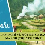 Cảm nghĩ về một bài ca dao mà anh (chị) yêu thích