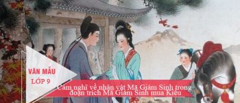 Cảm nghĩ về nhân vật Mã Giám Sinh trong đoạn trích Mã Giám Sinh mua Kiều