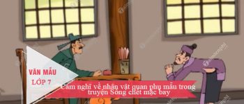 Cảm nghĩ về nhân vật quan phụ mẫu trong truyện Sống chết mặc bay