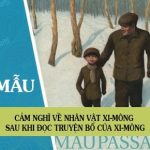 Cảm nghĩ về nhân vật Xi-mông sau khi đọc truyện Bố của Xi-mông