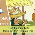 Cảm nghĩ về tình bà cháu được trong bài thơ Tiếng gà trưa