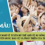 Cảm nghĩ về Tuyên bố thế giới về sự sống còn, quyền được bảo vệ và phát triển của trẻ em