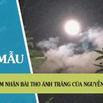 Cảm nhận bài thơ Ánh trăng của Nguyễn Duy