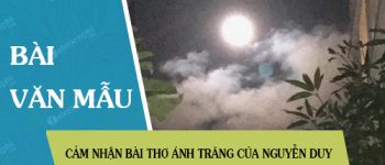 Cảm nhận bài thơ Ánh trăng của Nguyễn Duy