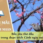 Cảm nhận bốn câu thơ đầu trong đoạn trích Cảnh ngày xuân