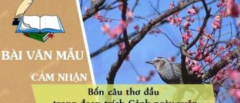 Cảm nhận bốn câu thơ đầu trong đoạn trích Cảnh ngày xuân