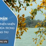 Cảm nhận bức tranh thiên nhiên lúc giao mùa trong bài Sang Thu