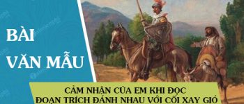 Cảm nhận của em khi đọc đoạn trích Đánh nhau với cối xay gió