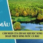 Cảm nhận của em sau khi học xong đoạn trích Sông nước Cà Mau trong tác phẩm Đất rừng phương Nam của nhà văn Đoàn Giỏi