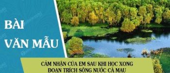 Cảm nhận của em sau khi học xong đoạn trích Sông nước Cà Mau trong tác phẩm Đất rừng phương Nam của nhà văn Đoàn Giỏi