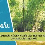 Cảm nhận của em về bài Cây tre Việt Nam của nhà văn Thép Mới