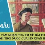 Cảm nhận của em về bài thơ Bánh trôi nước của Hồ Xuân Hương