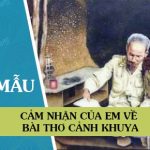 Cảm nhận của em về bài thơ Cảnh khuya