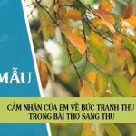 Cảm nhận của em về bức tranh thu trong bài thơ Sang thu