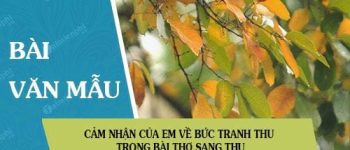 Cảm nhận của em về bức tranh thu trong bài thơ Sang thu