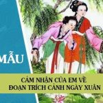 Cảm nhận của em về đoạn trích Cảnh ngày xuân