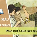 Cảm nhận của em về đoạn trích Chiếc lược ngà