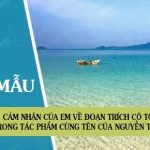 Cảm nhận của em về đoạn trích Cô Tô trong tác phẩm cùng tên của Nguyễn Tuân