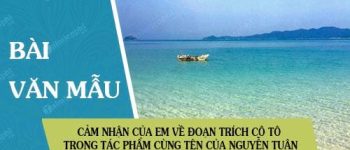 Cảm nhận của em về đoạn trích Cô Tô trong tác phẩm cùng tên của Nguyễn Tuân