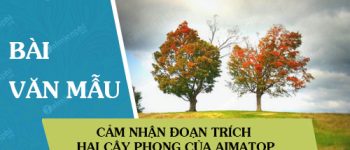 Cảm nhận đoạn trích Hai cây phong của Ai-ma-tốp