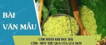 Cảm nhận khi đọc bài Một thứ quà của lúa non-Cốm