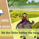 Cảm nhận khi đọc bài thơ Thiên trường vãn vọng