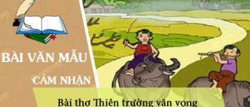 Cảm nhận khi đọc bài thơ Thiên trường vãn vọng