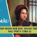 Cảm nhận khi đọc đoạn trích Sau phút chia li