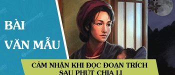 Cảm nhận khi đọc đoạn trích Sau phút chia li