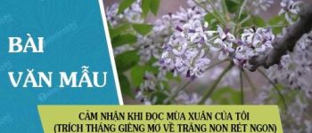 Cảm nhận khi đọc Mùa xuân của tôi (trích Tháng giêng mơ về trăng non rét ngọn) của Vũ Bằng