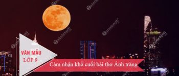 Cảm nhận khổ cuối bài thơ Ánh trăng