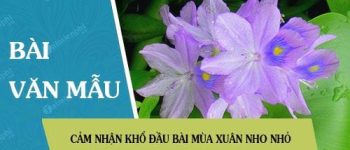 Cảm nhận khổ đầu bài Mùa xuân nho nhỏ