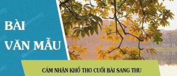 Cảm nhận khổ thơ cuối bài Sang thu