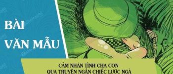 Cảm nhận tình cha con qua truyện ngắn Chiếc lược ngà