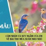 Cảm nhận và suy ngẫm của em về bài thơ Mùa xuân nho nhỏ