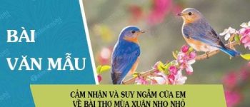 Cảm nhận và suy ngẫm của em về bài thơ Mùa xuân nho nhỏ