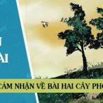 Cảm nhận về bài Hai cây Phong