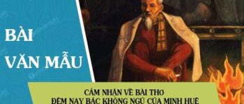 Cảm nhận về bài thơ Đêm nay Bác không ngủ của Minh Huệ