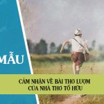 Cảm nhận về bài thơ Lượm của Tố Hữu