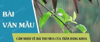 Cảm nhận về bài thơ Mưa của Trần Đăng Khoa