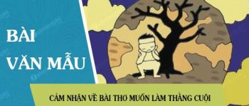 Cảm nhận về bài thơ Muốn làm thằng Cuội