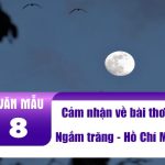 Cảm nhận về bài thơ Ngắm trăng của Hồ Chí Minh hay nhất (24 Mẫu)