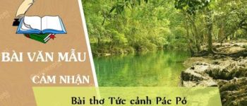 Cảm nhận về bài thơ Tức cảnh Pác Pó