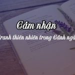 Cảm nhận về bức tranh thiên nhiên trong Cảnh ngày xuân