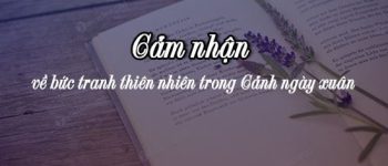 Cảm nhận về bức tranh thiên nhiên trong Cảnh ngày xuân