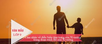 Cảm nhận về diễn biến tâm trạng của Xi-mông trong đoạn trích Bố của Xi-mông