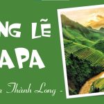 Cảm nhận về nhân vật anh thanh niên trong truyện Lặng lẽ Sa Pa hay nhất (18 mẫu)