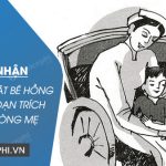 Cảm nhận về nhân vật bé Hồng trong đoạn trích Trong lòng mẹ