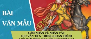 Cảm nhận về nhân vật Lục Vân Tiên trong đoạn trích Lục Vân Tiên cứu Kiều Nguyệt Nga